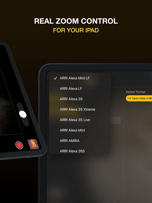 Zoom control on iPad